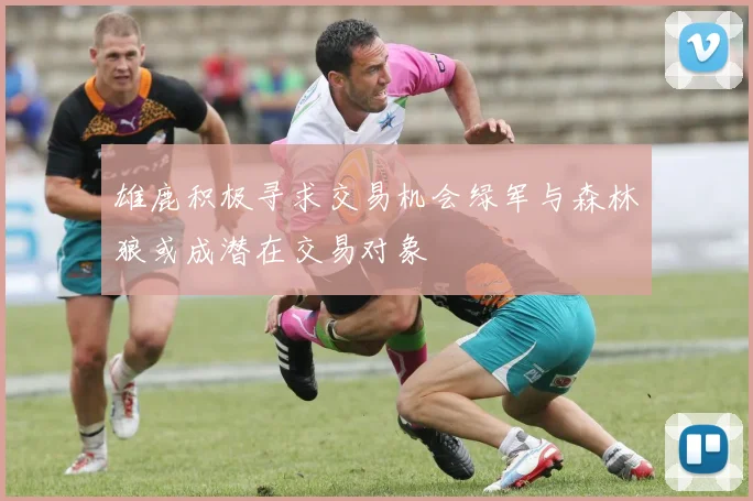 雄鹿积极寻求交易机会绿军与森林狼或成潜在交易对象