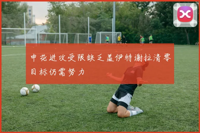 申花进攻受限缺乏盖伊特谢拉清零目标仍需努力