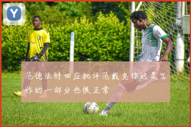 范德法特回应批评范戴克称这是工作的一部分也很正常
